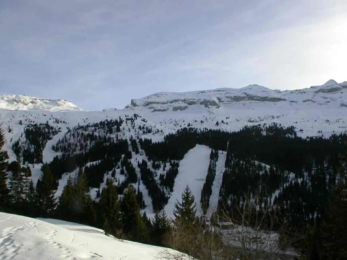 Studio Cabine 5P Residence Sagittaire, Flaine Foret, Proche Pistes Et Commerces - Fr-1-687-9 Araches-la-Frasse Apartment